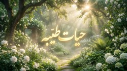 حیات طیبه ( سبک زندگی با برکت)